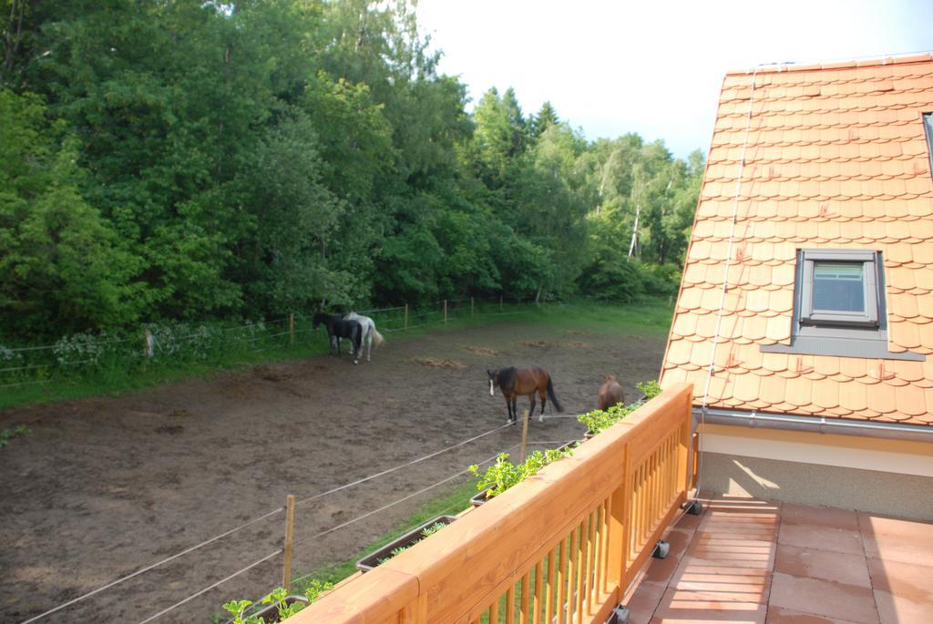 Penzion Staj Navary Apartment Luaran gambar